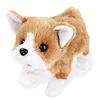 Robot Dog Electronic Dog Plush Puppy Jump Wag Tail Leash Teddy Toys Walk Bark Funny Toys For Children Birthday Gift 2