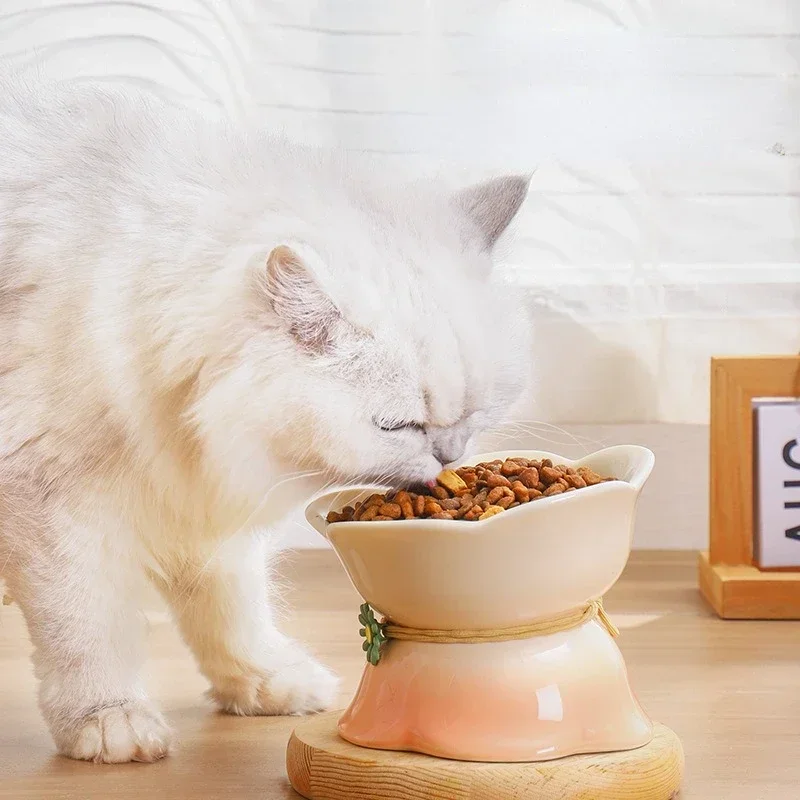 Cat Gradient Ceramic Bowl Elevated Pet Food Water Feeders Tilted Puppy Dogs Drinking Eating Supplies: 3 - 5 Days Free Delivery Only UK