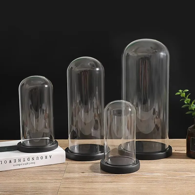 Dia 20cm Custom Decorative Clear Display Glass Cloche Bell Jar Dome With Black Wooden Base For Gifts 2