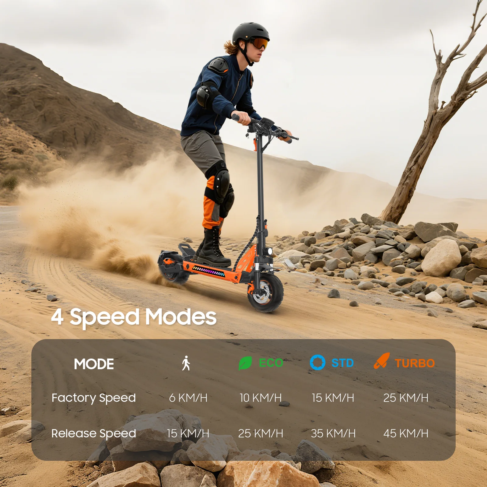 Affichage et commandes de la trottinette