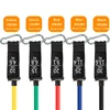 11Pcs Sport Rubber Band for Fitness Equipment Resistance Bands Elastic Band for Pulling Up Gym Exercise Training Body Sports 4