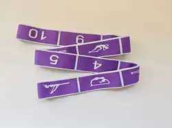 Enhanced Elastic Fitness Resistance Band for Yoga, Dance, and Exercise (Purple-10)