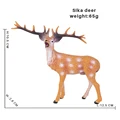Sika deer1