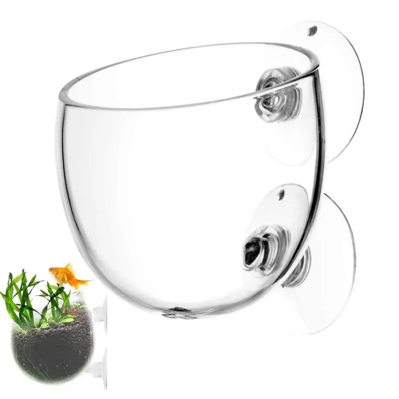 

Live Plants Fish Tank Holder For Aquarium Decor Accessories Aquarium Glass Plant Pot With Suction Cups Glass Aquatic Plant Pot