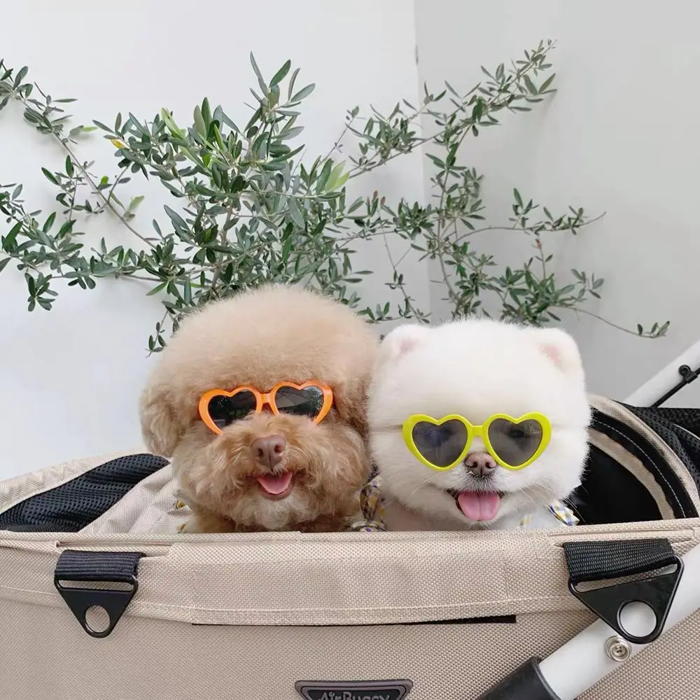 Puppy Cute For Small Cat Pet Products Pet Glasses Pet Accessoires Cat Sunglasses Pets Party Decor Cat Glasses Cat  Eye-Wear