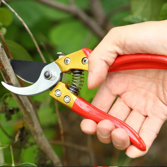 Kerti Metszés Olcsó Gyümölcsök Szedés Olló Több Stílusú Kertészeti Szerszámok Metsző - Image 3
