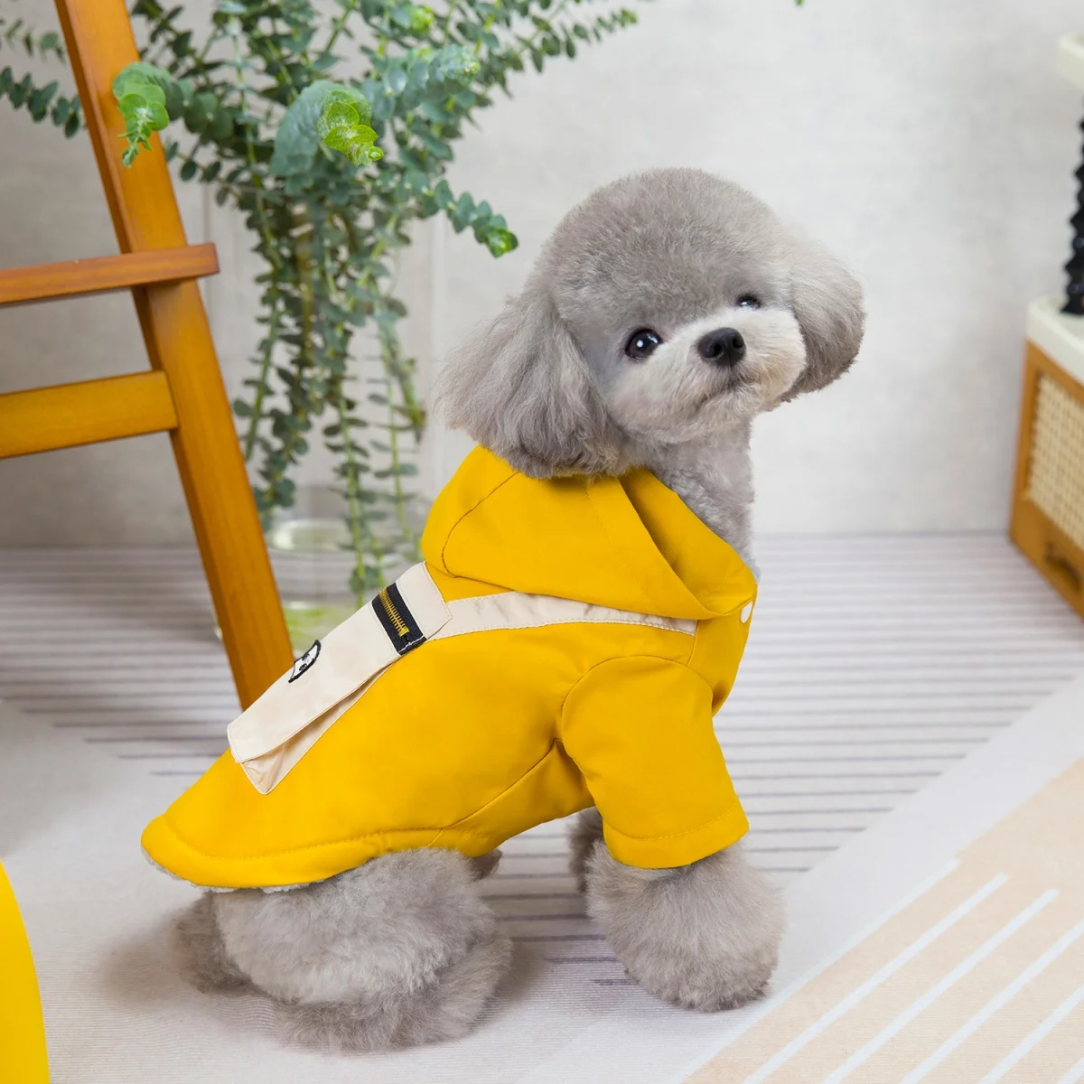 Pet Autumn Winter Warm Winter Dog Clothes Pomeranian Doll Small Dog 3D Bag Two Leg Cotton Clothes