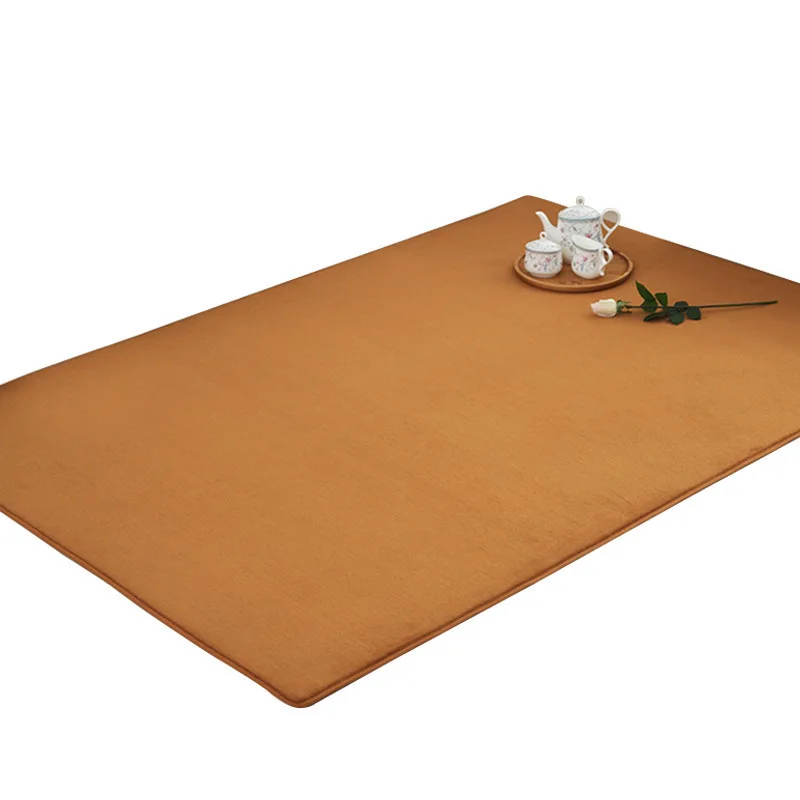 

Coral velvet carpet with solid color pattern Modern household living room and bedroom