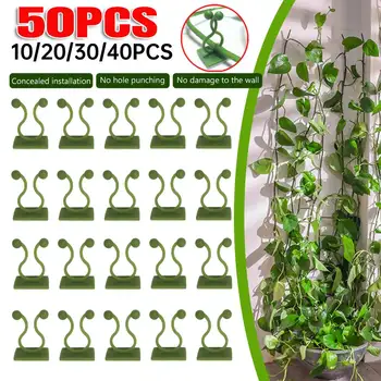 50-10PCS Plant Climbing Wall Self-Adhesive Fixed Buckle Hook Fastener Tied Fixture Buckle Garden Plant Wall Climbing Vine Clips