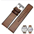 Brown-Silver