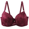2025 New Sexy Bow Floral Bras For Women Unerwear Reddis-gray Black Gray-blue Iron-gray Purple-red Khaki Plus Size Lingerie