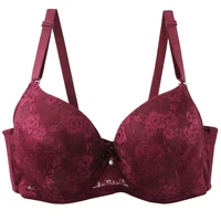 2025 New Sexy Bow Floral Bras For Women Unerwear Reddis-gray Black Gray-blue Iron-gray Purple-red Khaki Plus Size Lingerie