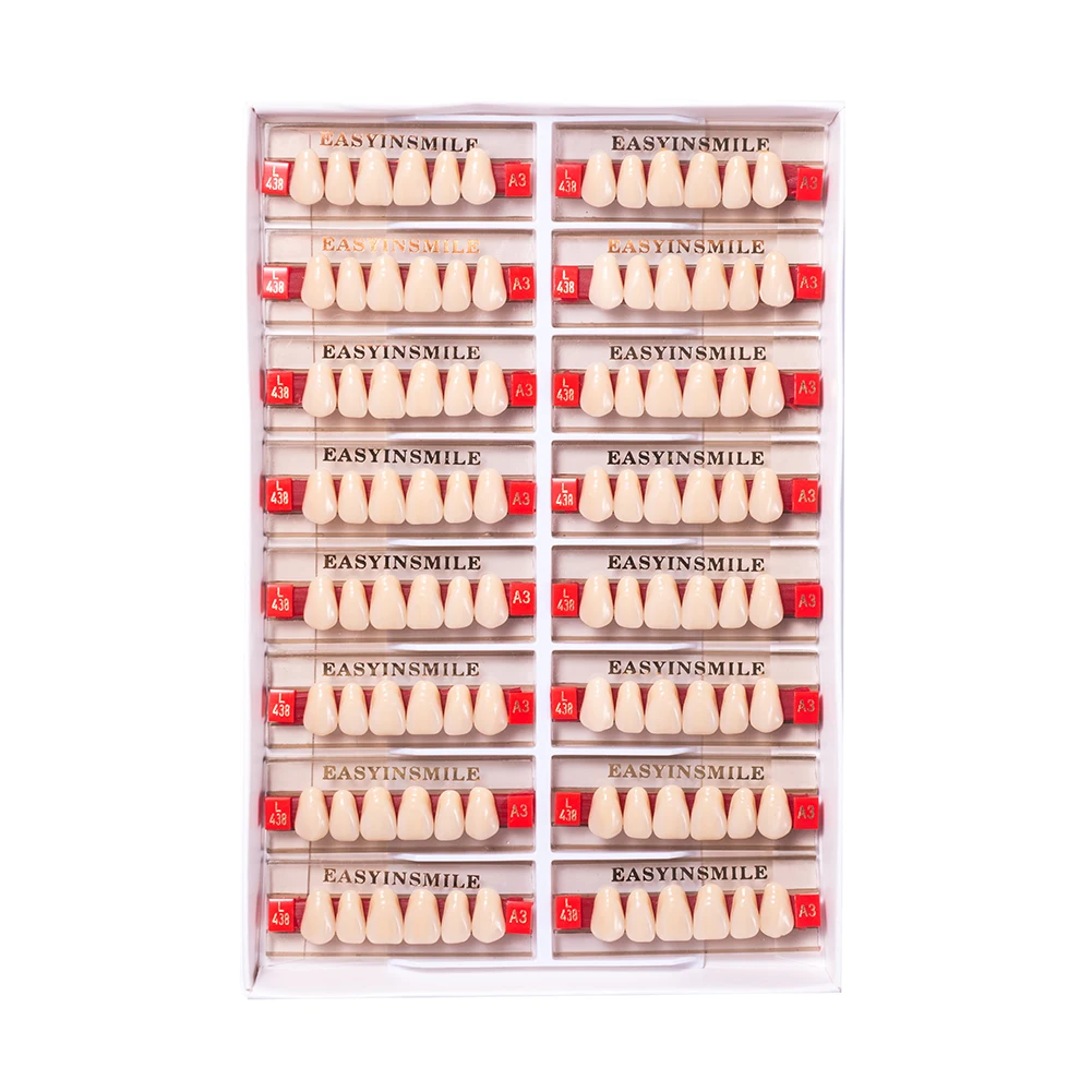 16/12 Sets/ Box Dental Denture Teeth Upper Anterior Lower Posterior Teeth acrylic A2 A3 2 layers Dental Education Model 4