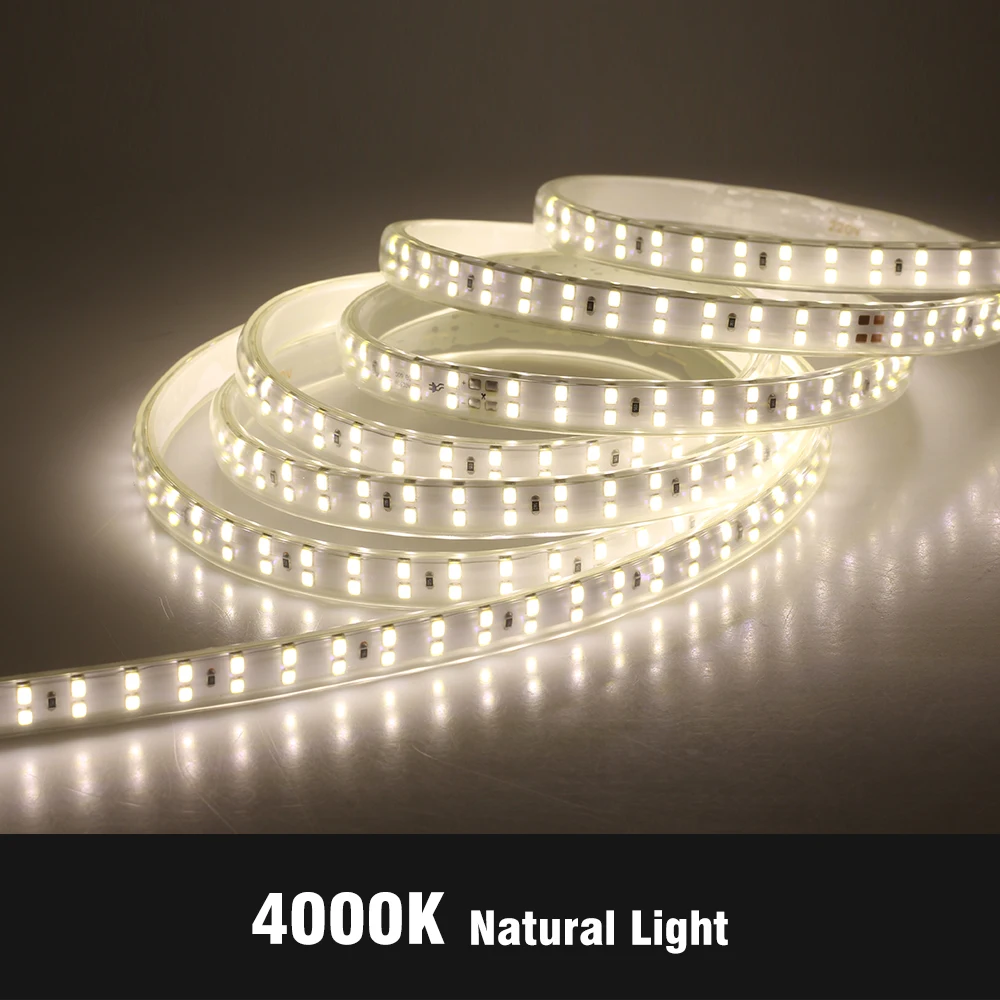 PLAYLUZ Ruban De Led 220v 2835 120 Led/m HIGH LUMINOSITY, Adhésif Et SWITCH. IMPERMÉABLE. Blanc Froid/Neutre/Chaud. Bande étanche Waterproof IP67 (Blanc Neutre, 3M