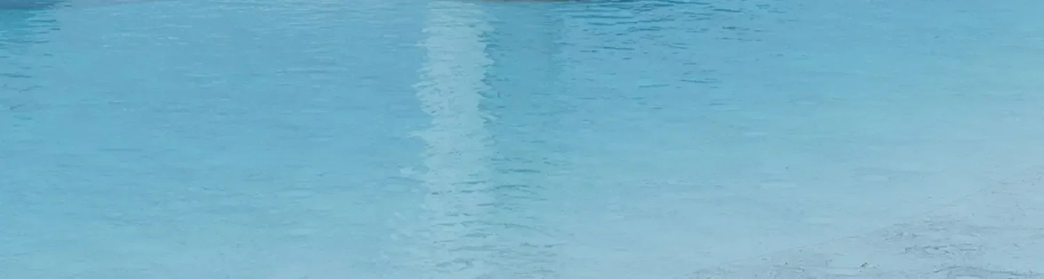 Sf3188a450fe9407a816388a421c201c7i.jpg?width=1500&height=402&hash=1902