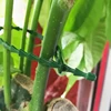 25/50/100Pcs Reusable Garden Cable Ties Adjustable Plastic Cable Ties Tools Plant Support Shrubs Fastener Tree Locking Nylon 6