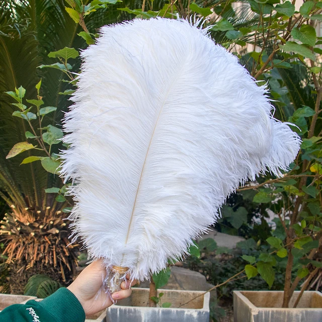 10Pcs Yellow Ostrich Feather for Crafts Fluffy Large Feathers Centerpieces  for Wedding Table Natural Pluma Decoration Handicraft