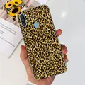 Case-c35
