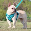 Reflective Pet Dog Harness and Leash Set for Small Medium Dogs mascotas Accessories Yorkies Puppy Cat Vest Harnesses arnes perro 6