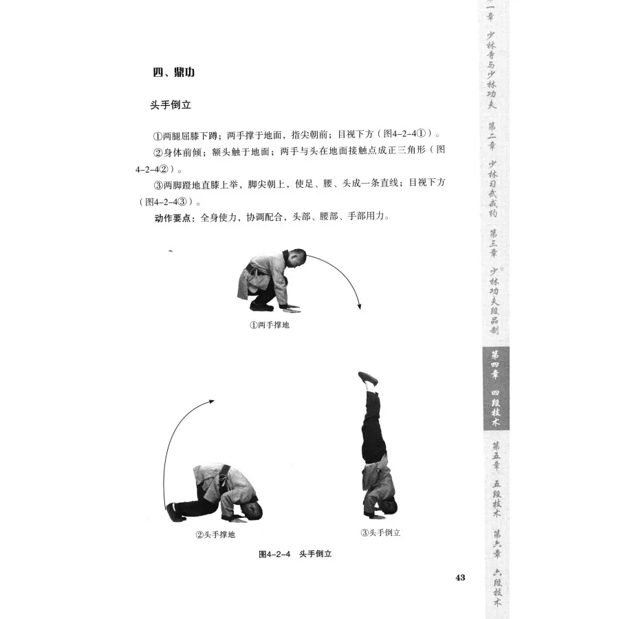 Martial Arts Shaolin Kung Fu Book Wu shu Tutorial in Chinese by Shi Yongxin
