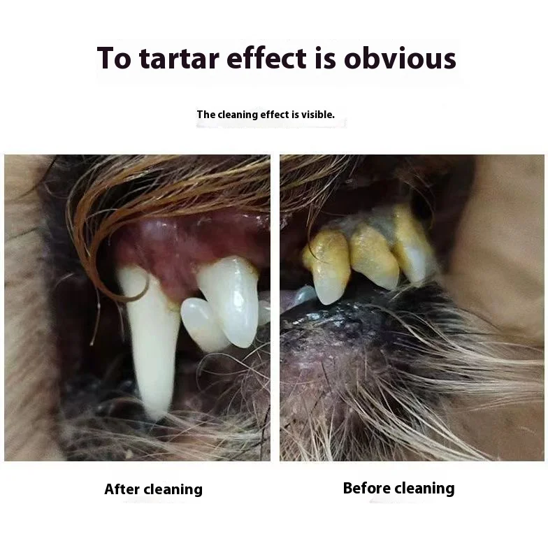 6568-4226f1.jpg Removedor ultrasónico de sarro para perros, limpiador de placa dental