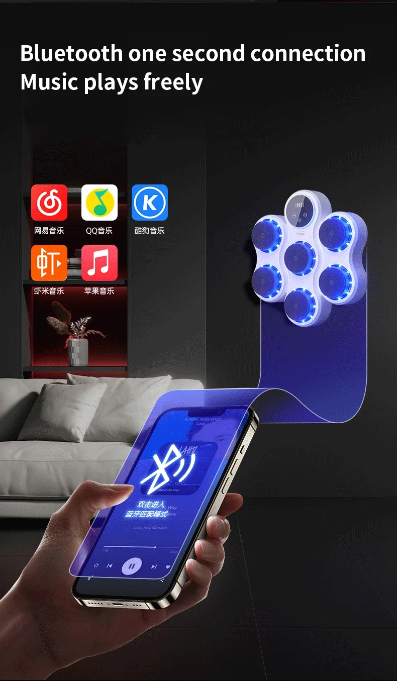 Boxing Trainer Wall Target for Fitness