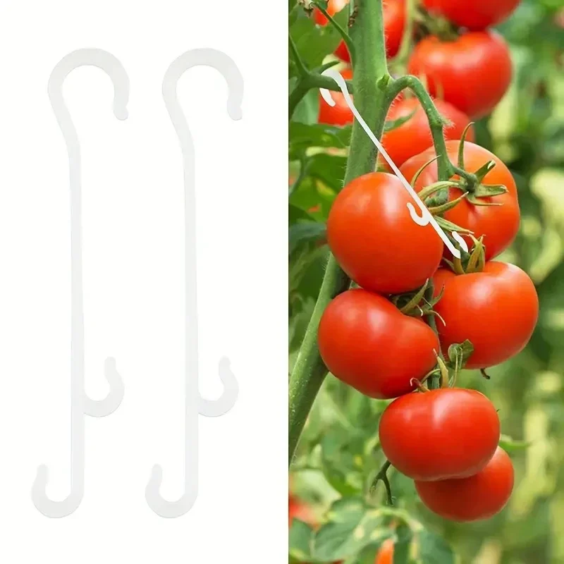 Tomato support hooks J-Hook support clips prevent tomato branches from breaking or falling off plant 10pcs
