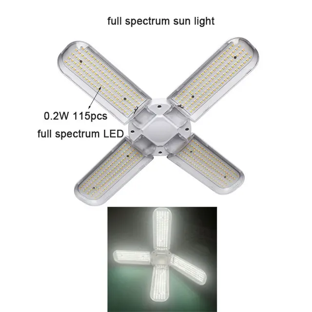 40W bulb sunlight