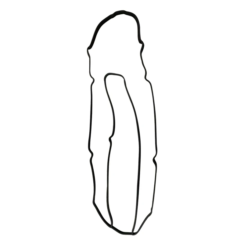 Guarnizione Coperchio Valvole Per Ford - Ricambio 4M5G6K260CA In Gomma - Foto 7