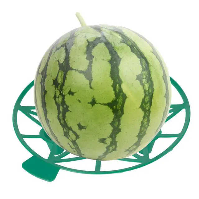 Görögdinnye Rácsos Állvány Otthoni Kellékek Dinnye Bölcső Gyakorlati Korrózióellenes Hasznos Cantaloupe Tök Támogató Tálca - Image 4