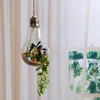 Light Bulb Shaped Terrarium Plants Hanger Vase Home Decoration Gift for Home Drop Shipping 6