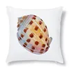 Seashell Conch Pattern Cushion Cover Marine Style Sofa Seat Pillow   Shell Print    2