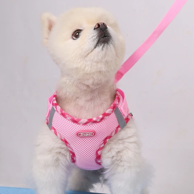1pc Dog Harness, Anti-Pull, Pet Harness, Adjustable, Easy to Control, Suitable for Small, Medium Dogs 1pc Dog Harness, Anti-Pull, Pet Harness, Adjustable, Easy to Control, Suitable for Small, Medium Dogs