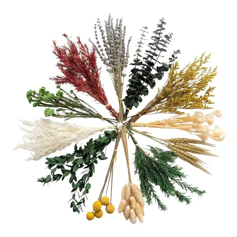 Natürliche konservierte Blüten, Bündel, Blumenstrauß mit Lavendel, Weizen, weichem Schwanz, für Vasen-Arrangement, Partyzubehör – Detail 8