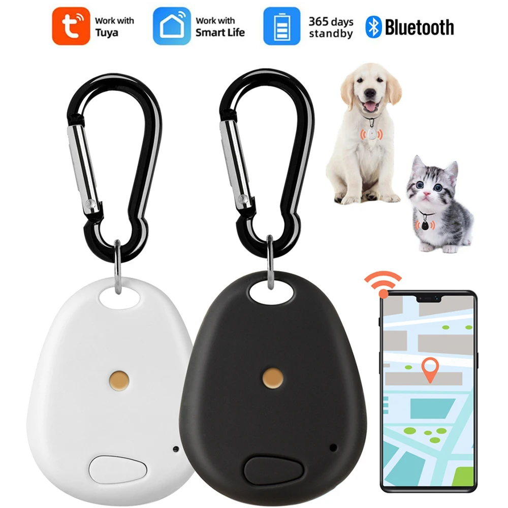 Dispositif De Suivi Intelligent Tuya, Mini Étiquette De Clé, Localisateur  Pour Enfants, Animaux De Compagnie, Bluetooth, Véhicule Intelligent,  Anti-perte - Alarme Anti-perte - AliExpress