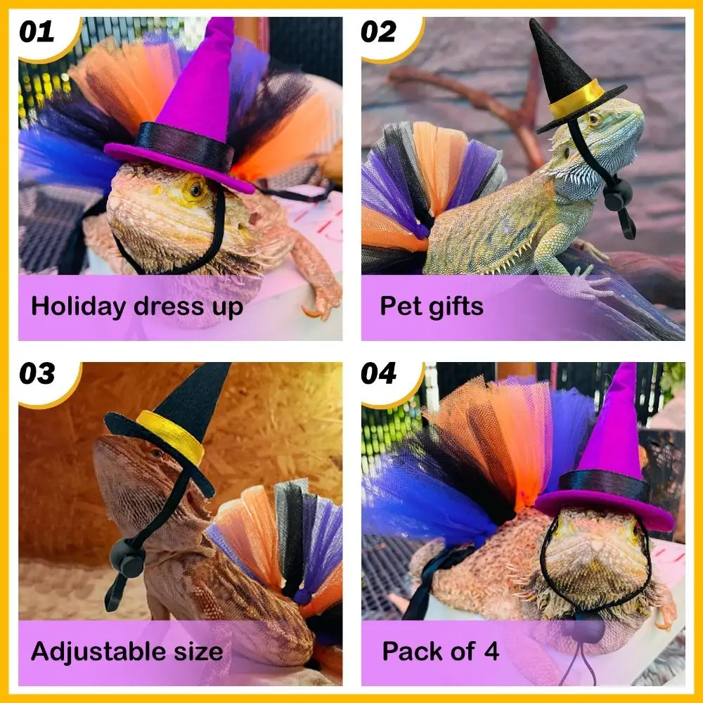Slide image e00a62042c914fc9ac1218b6a3a25f0c