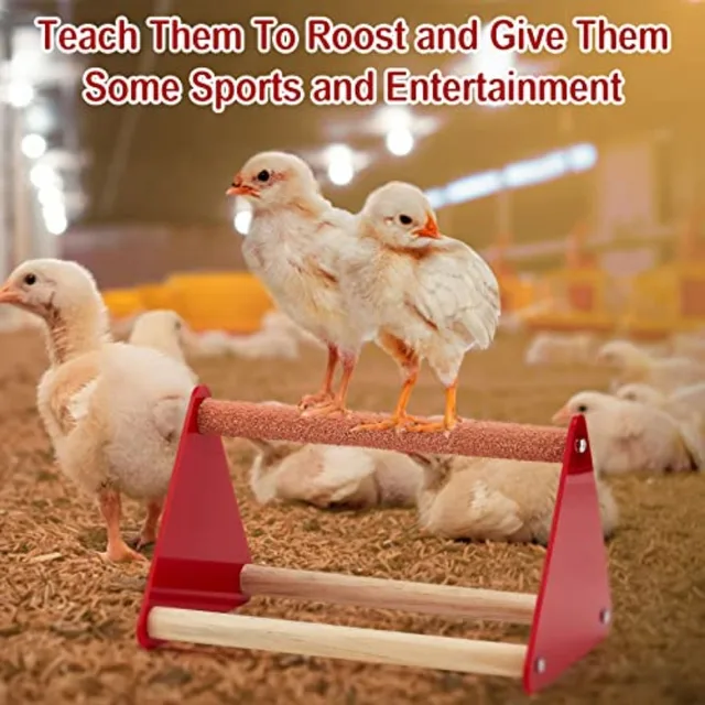Chick Feeder and Waterer Kit Feeding Supplies with Mini Perch Chicken Starter Kit for Coop and Brooder