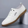 2025 Shoes for Men Leather Casual Shoes Summer New Microporous Slip-on Loafers Fashion Round Toe Sandals Driving Shoes 1