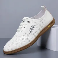 2025 Shoes for Men Leather Casual Shoes Summer New Microporous Slip-on Loafers Fashion Round Toe Sandals Driving Shoes 1
