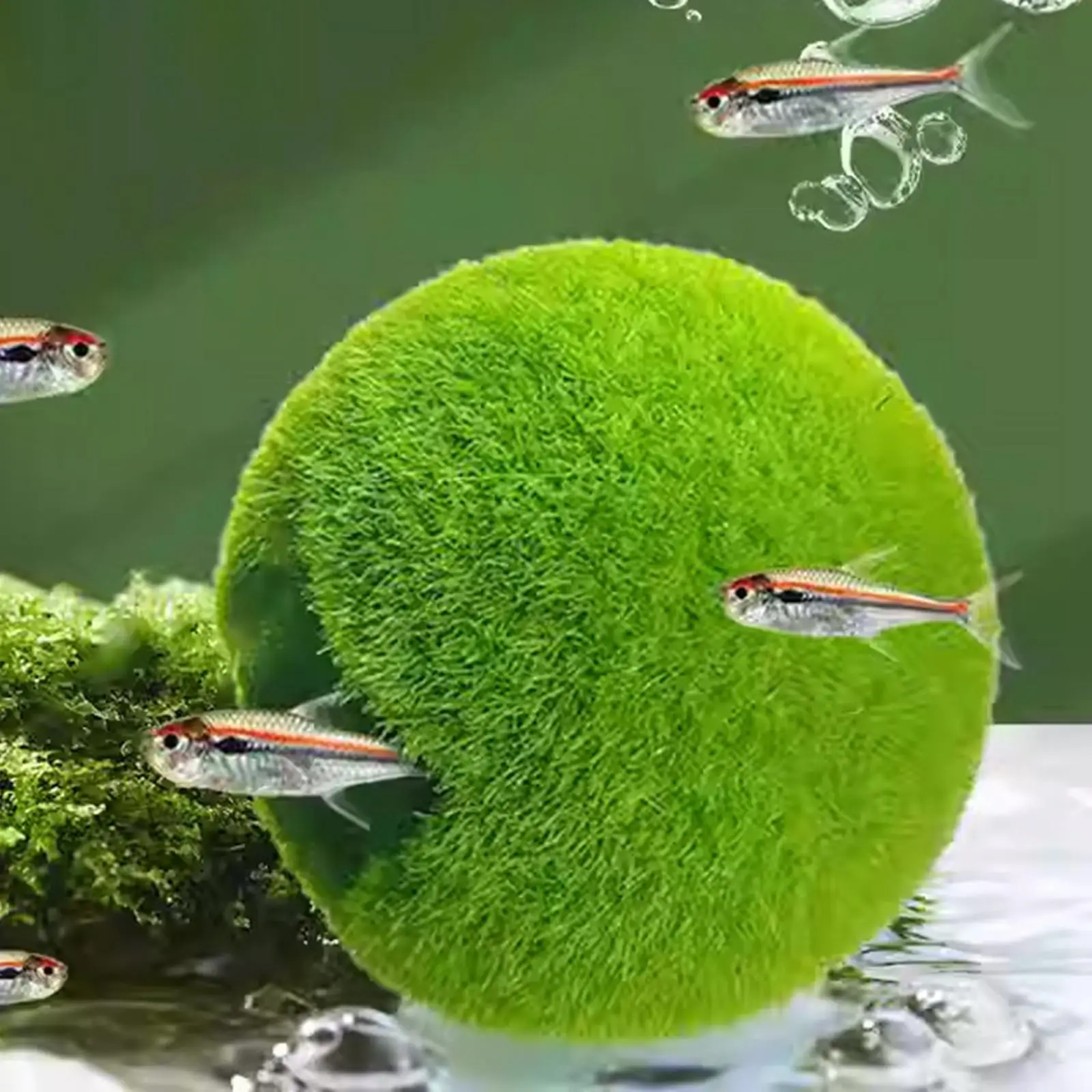 Fish Tank Hideaway Shelter Green Cave Ornament Resin Aquarium Accessory for Breeding and Hiding Fish