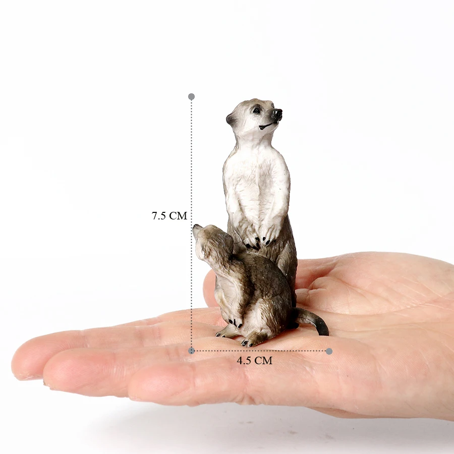 Meerkat-2