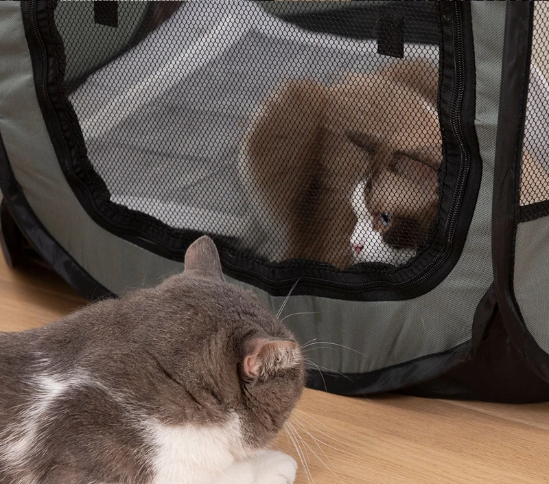 Portable Foldable Cats and Dogs Tent Portable Folding Outdoor Travel - PeticaDeals