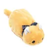 Cat 3