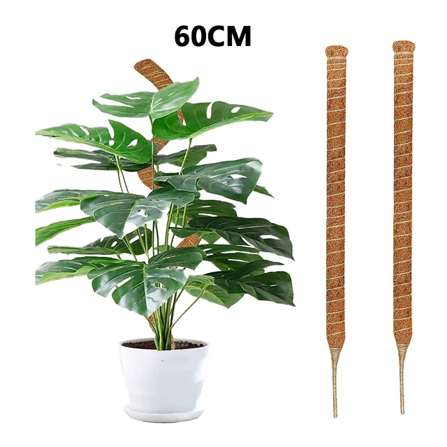 2pcs 60cm