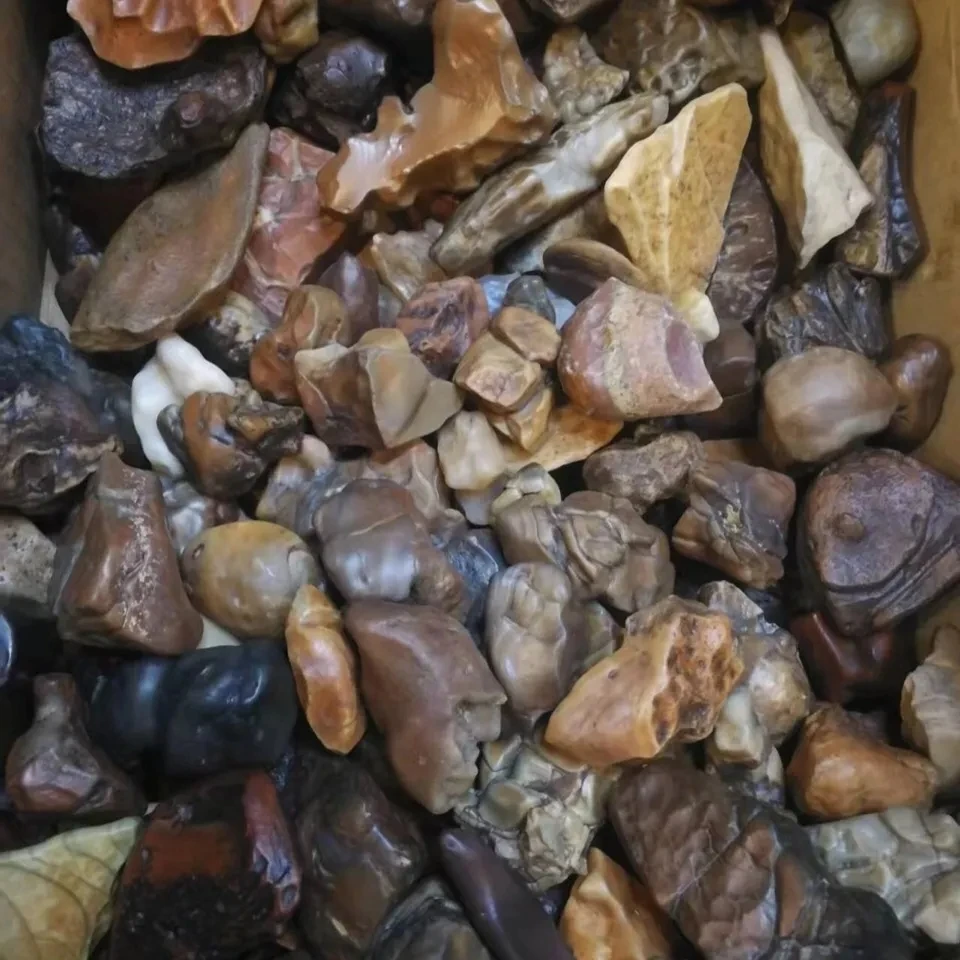 

1Pcs Nature Stone Alxa Gobi Stone, Agate Old Skin Jasper Pictographic Stone, All Natural Raw Stone, Random Delivery Of A