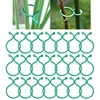 50pcs Garden Plant Support Clips Orchid Flower Ties Vegetables Tomato Vine Flower Clips Plastic Plant Locks for Securing Plants 1