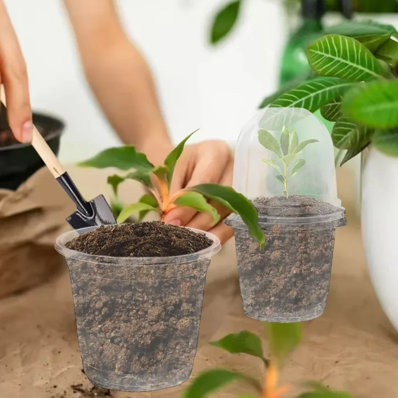 Clear Nursery Pots with Covers - Plant Seedling Holders and Garden Containers (5/10 Pack)