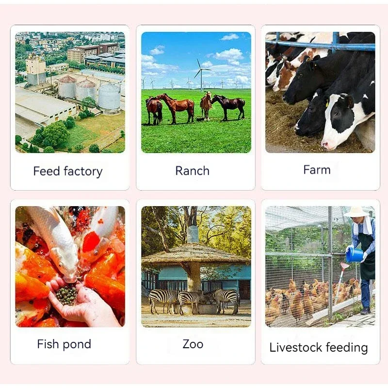 Fully Automatic Feed Pellet Machine Wet And Dry Dual Use Breeding Of Chickens Ducks Fish Pig Cows Sheep Etc Household Granulator