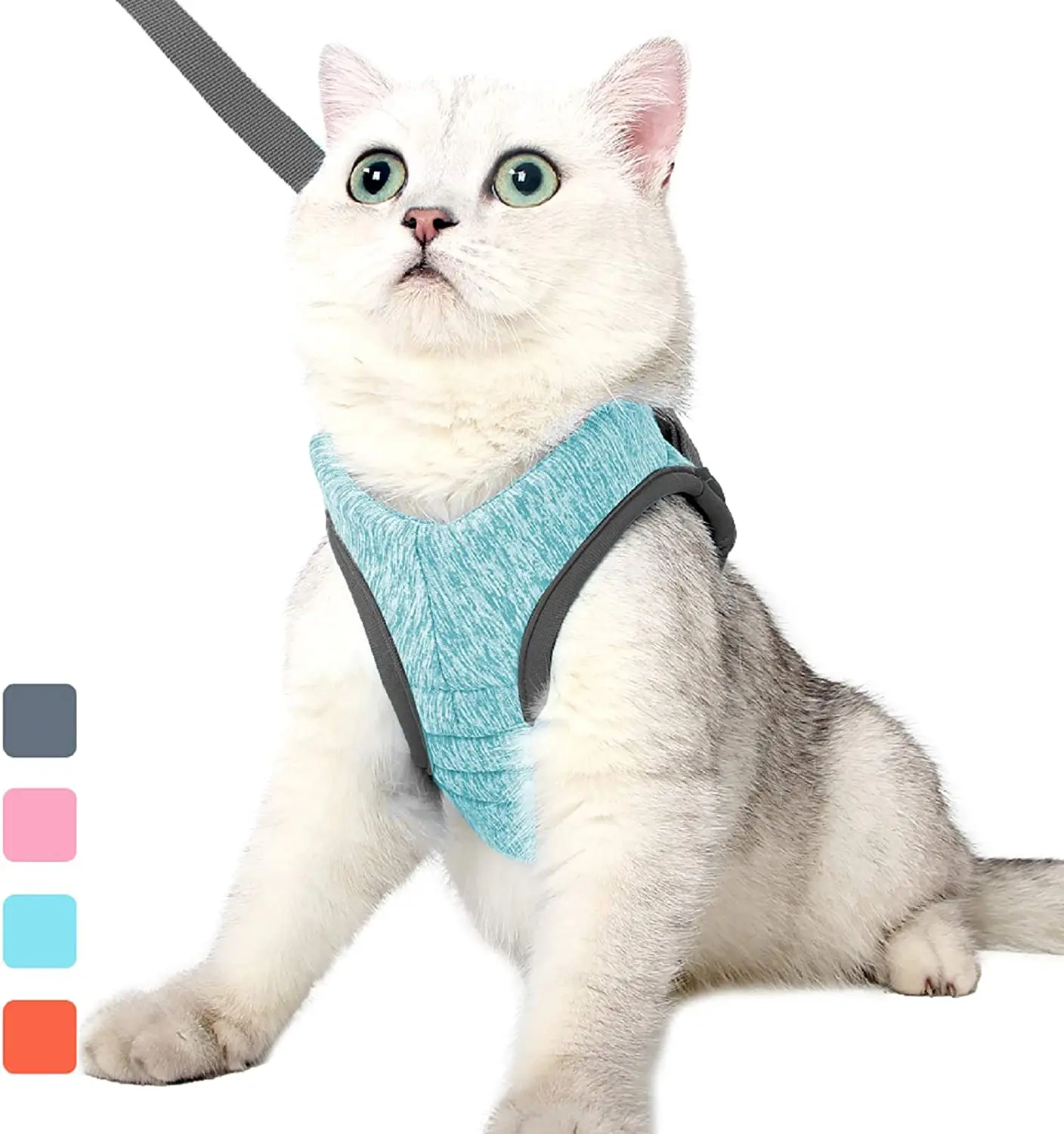 whisker city cat harness on cat