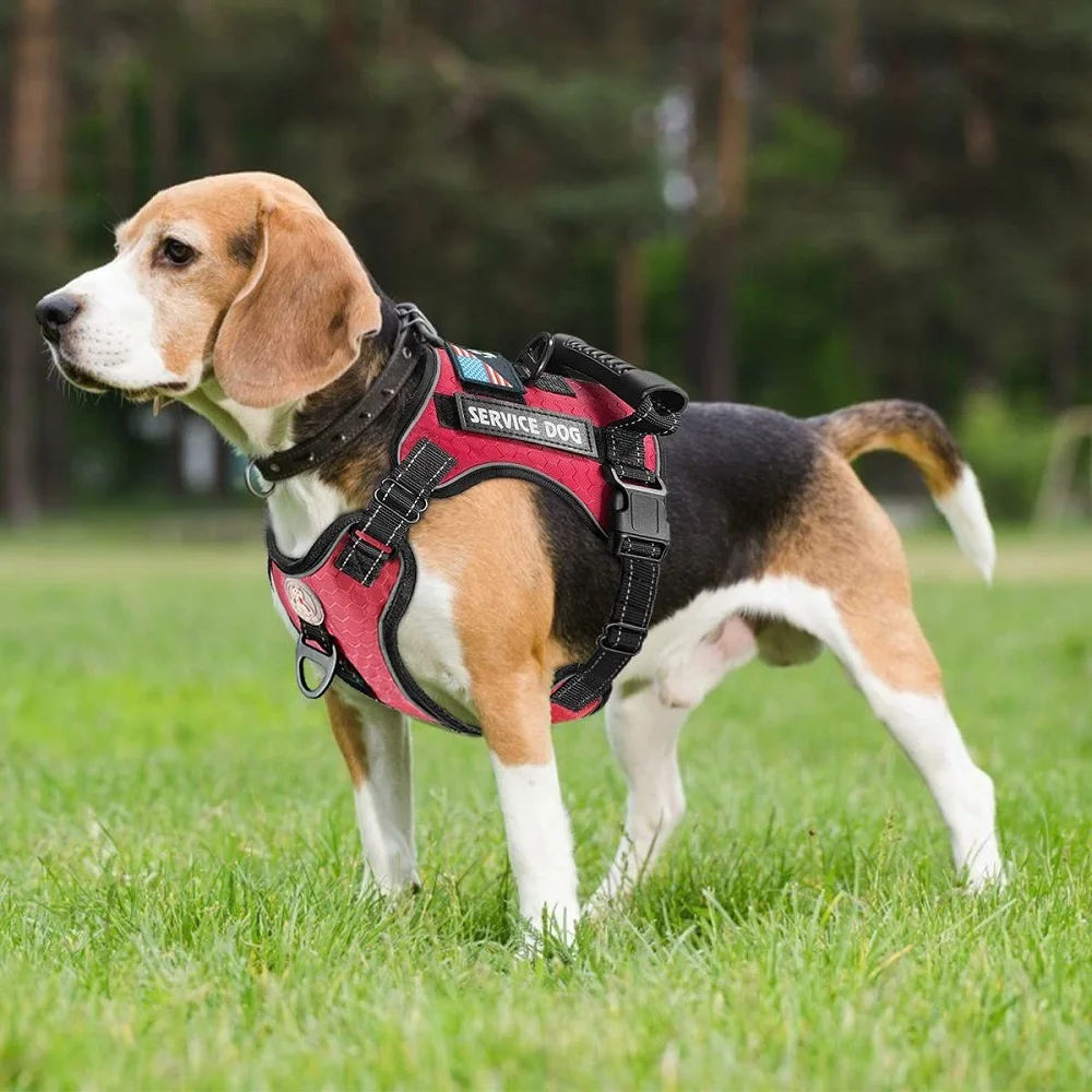 

Adjustable Big Dog Leash Luminous Oxford Easy Control Strong Large Chest Harness Collar with a Free Heavy Duty 5ft Dogs Lanyard